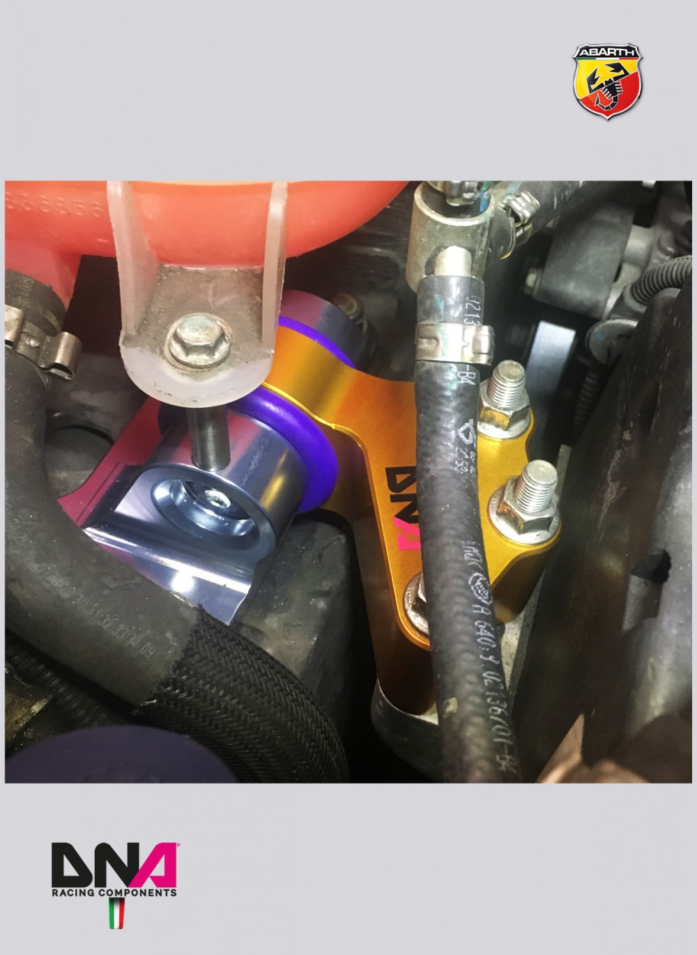 DNA Racing "Fast Road" engine support kit