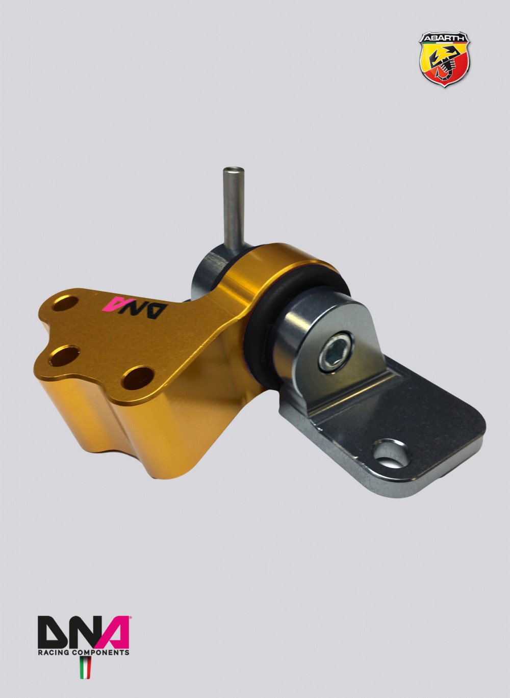 DNA Racing Motorhalter "Motorsport"