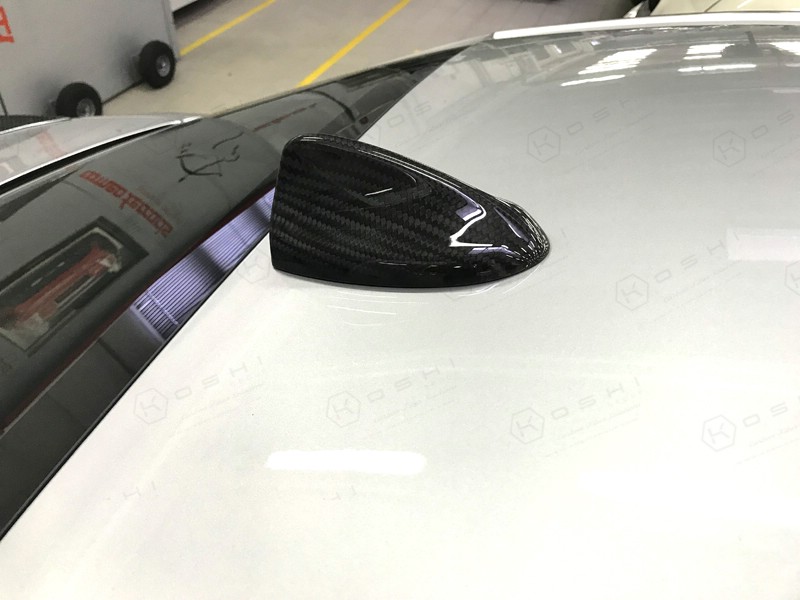 Koshi Carbon Antennenabdeckung