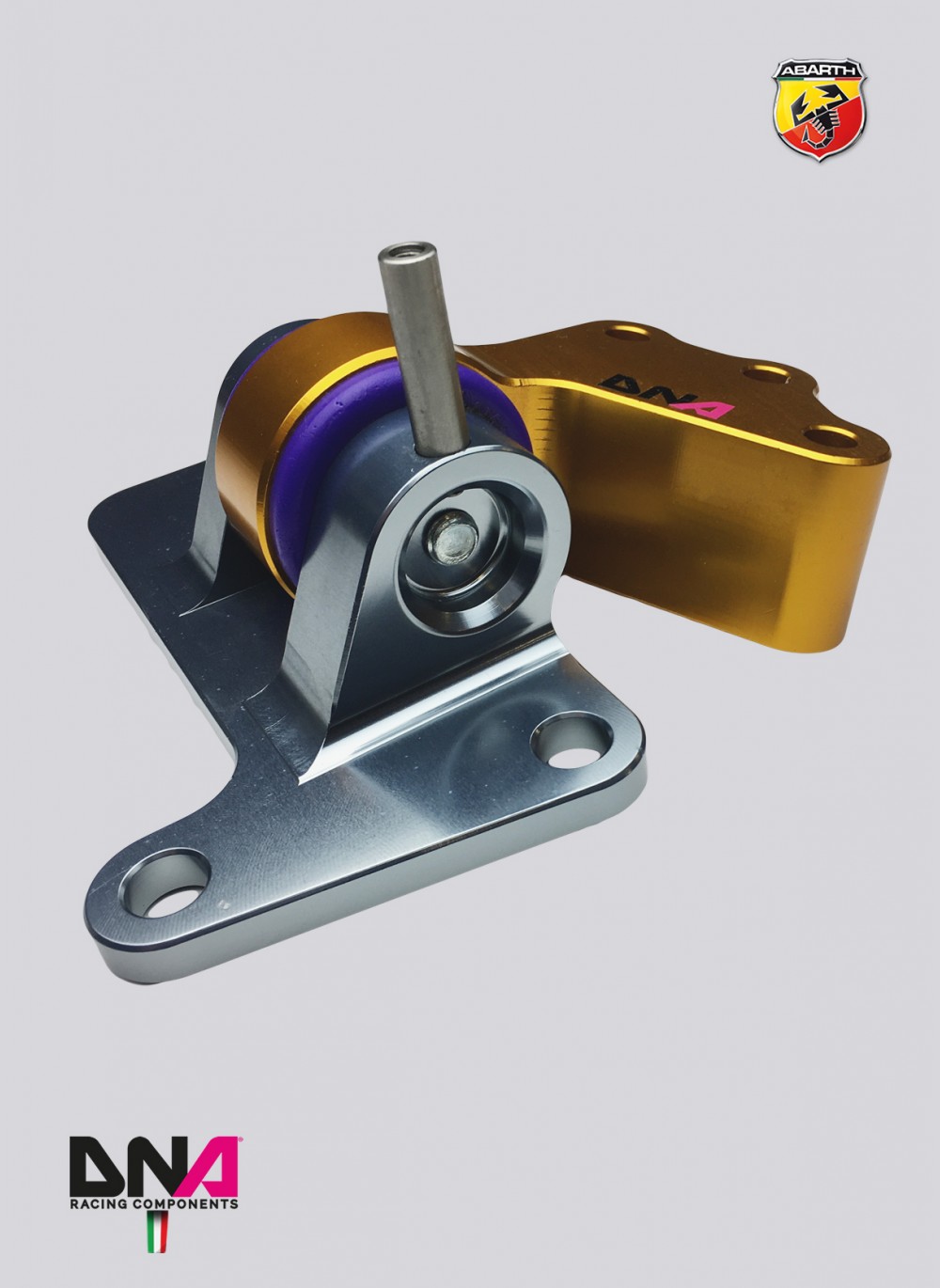 DNA Racing "Fast Road" engine support kit