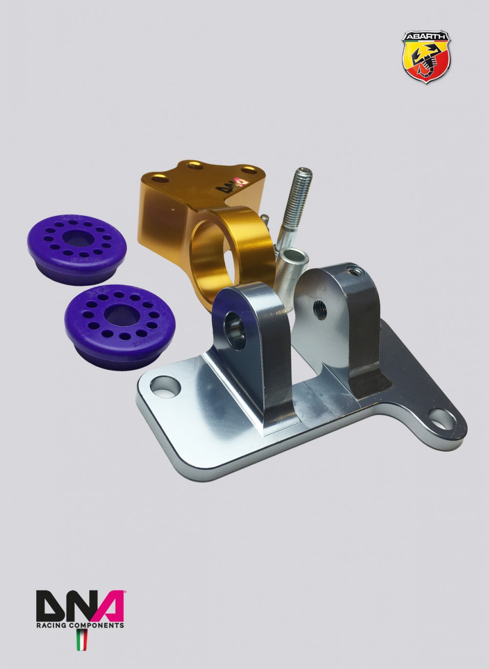 DNA Racing "Fast Road" engine support kit