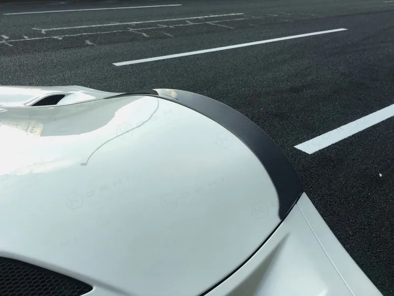 Koshi Carbon Rear Spoiler