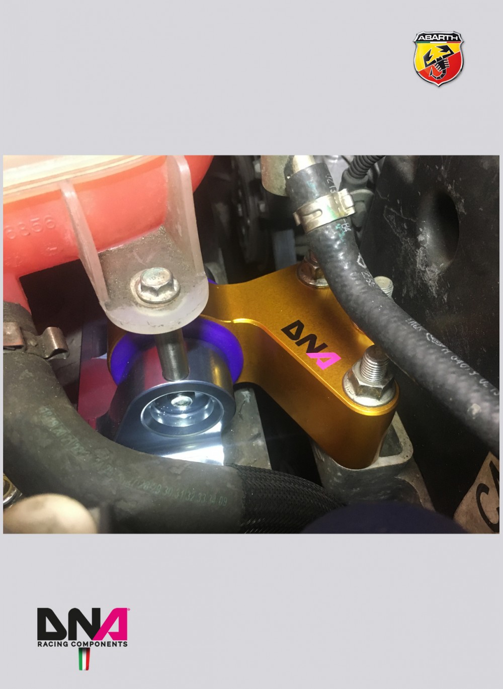 1494-4 DNA Racing "Fast Road" engine support kit