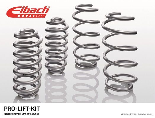 Eibach E30-51-018-01-22 Pro-Lift Kit